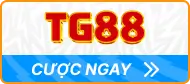 tg88